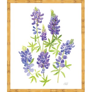 KS- BLUE BONNET 3